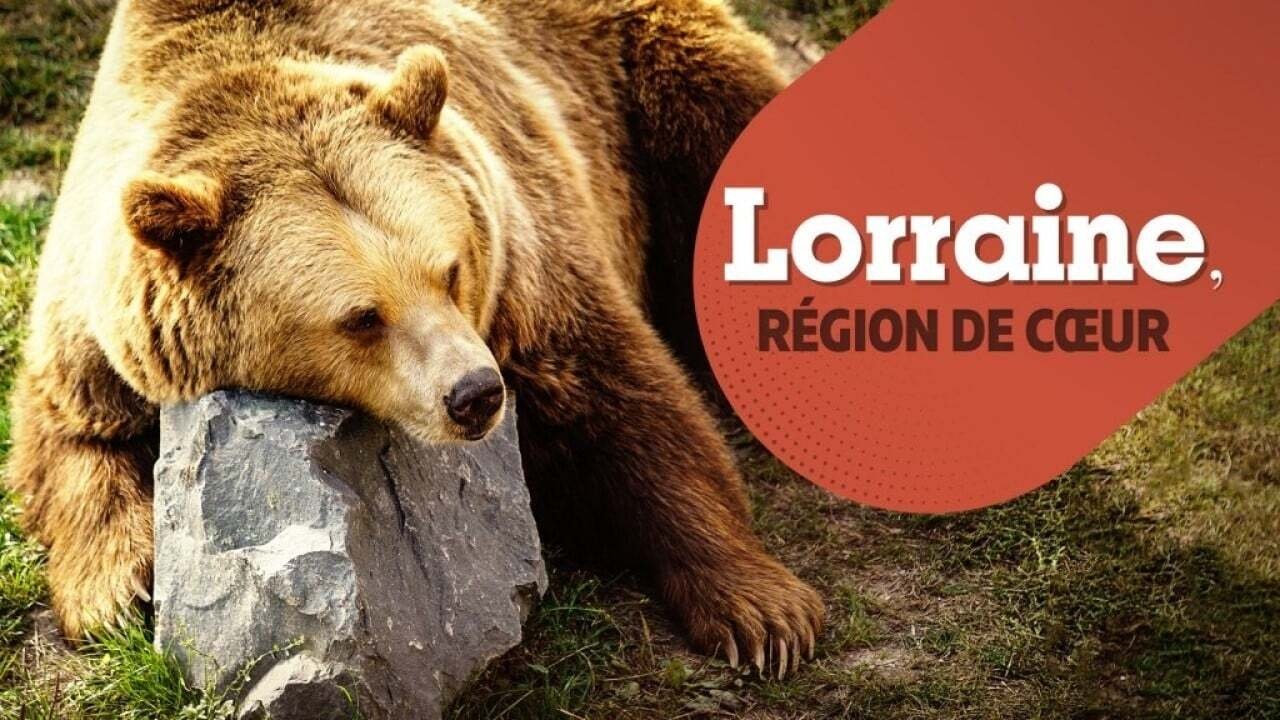 Episode 31