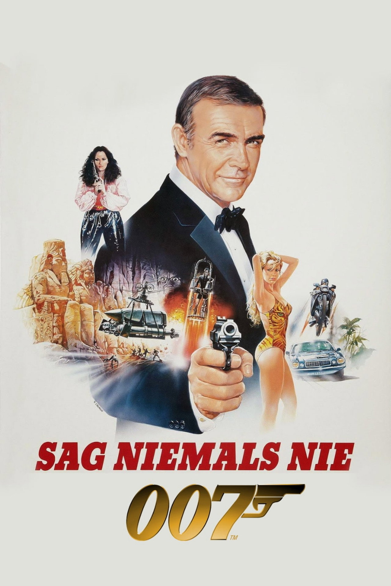 Sag niemals nie