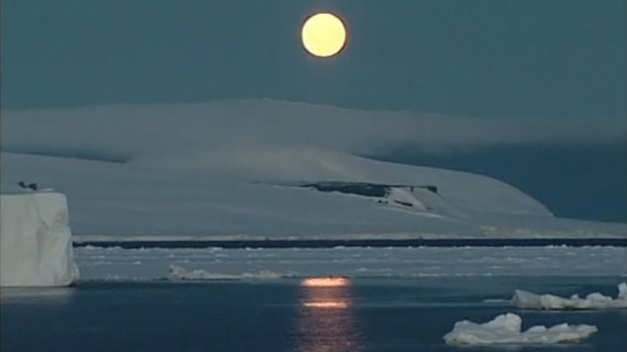 Scen från Antarctica: A Frozen History