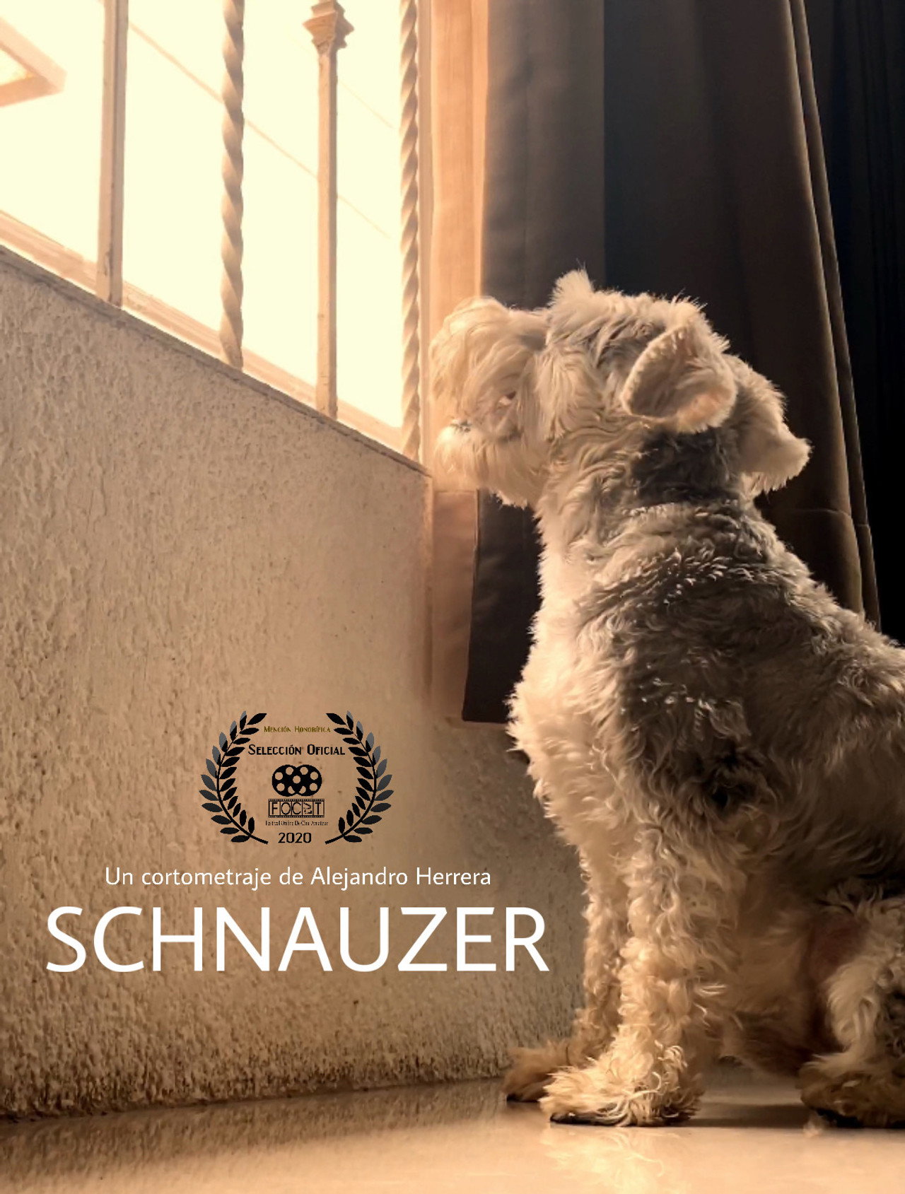 Schnauzer filmaffisch