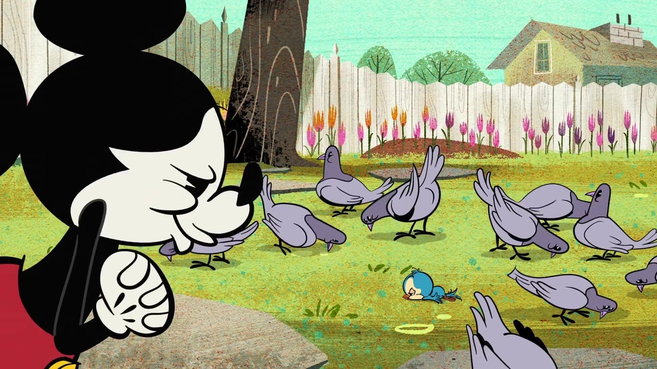 Mickey Mouse - Season 4 Episode 11 : Feed the Birds
