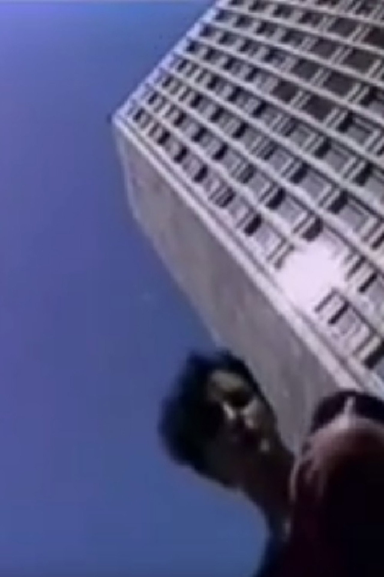 Borghesia: So Young Backdrop