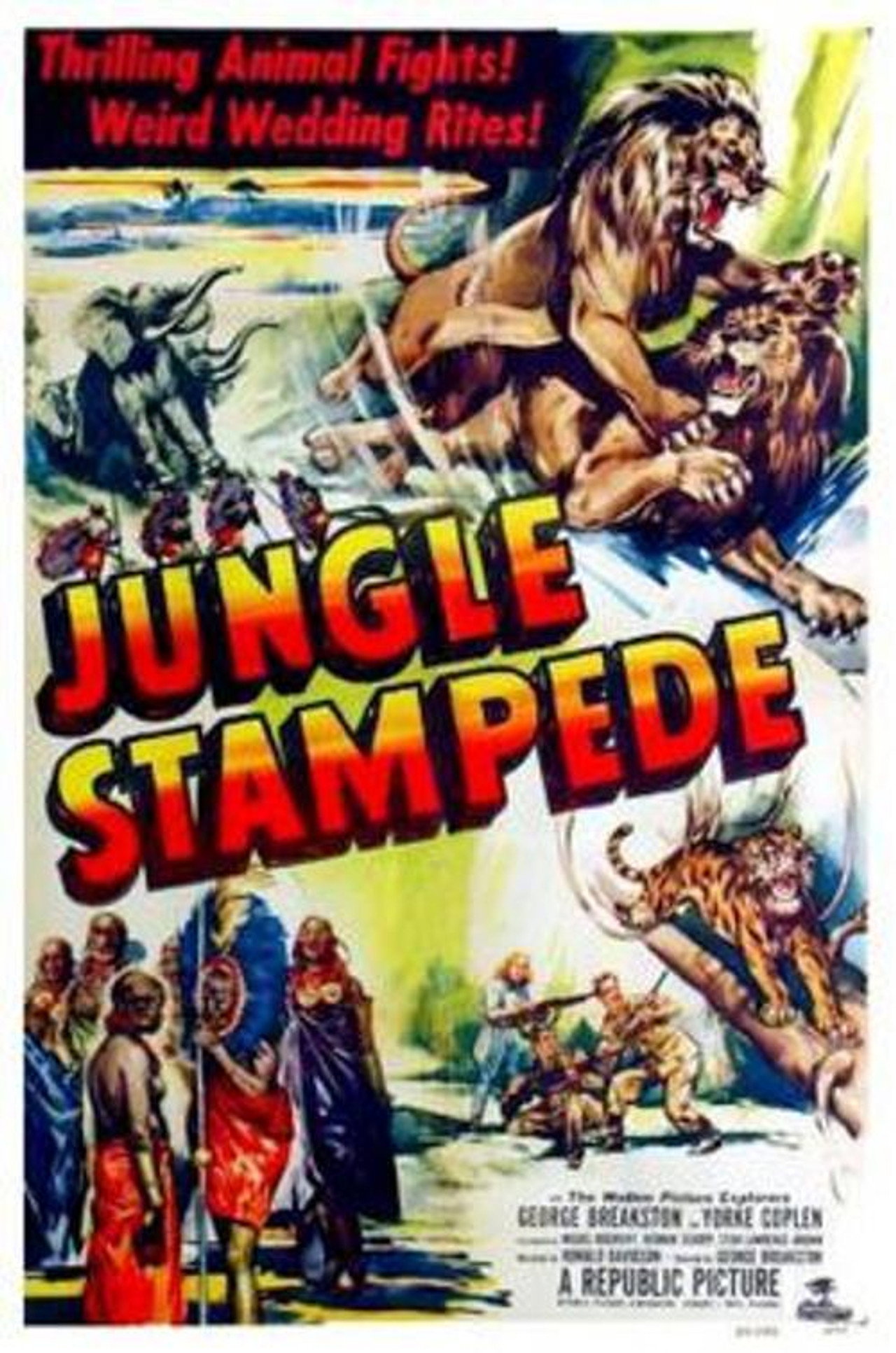 Jungle Stampede filmaffisch