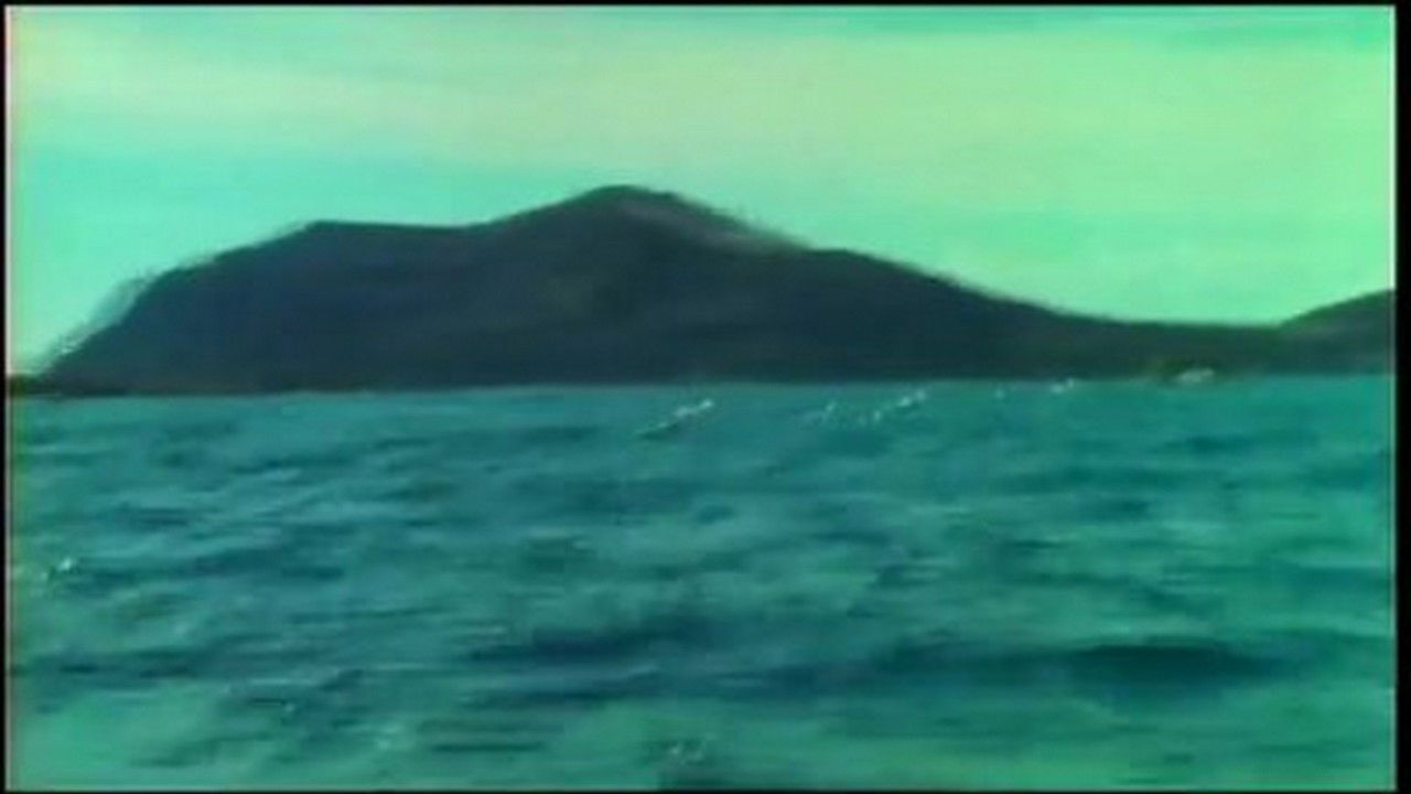 Mutual of Omaha's Wild Kingdom — Épisode 17