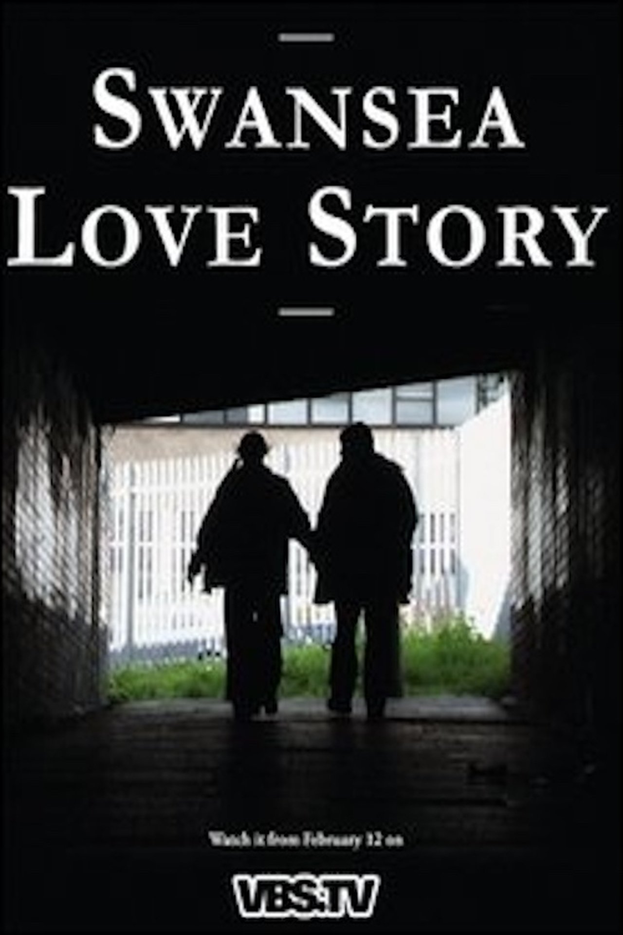 Swansea Love Story poster