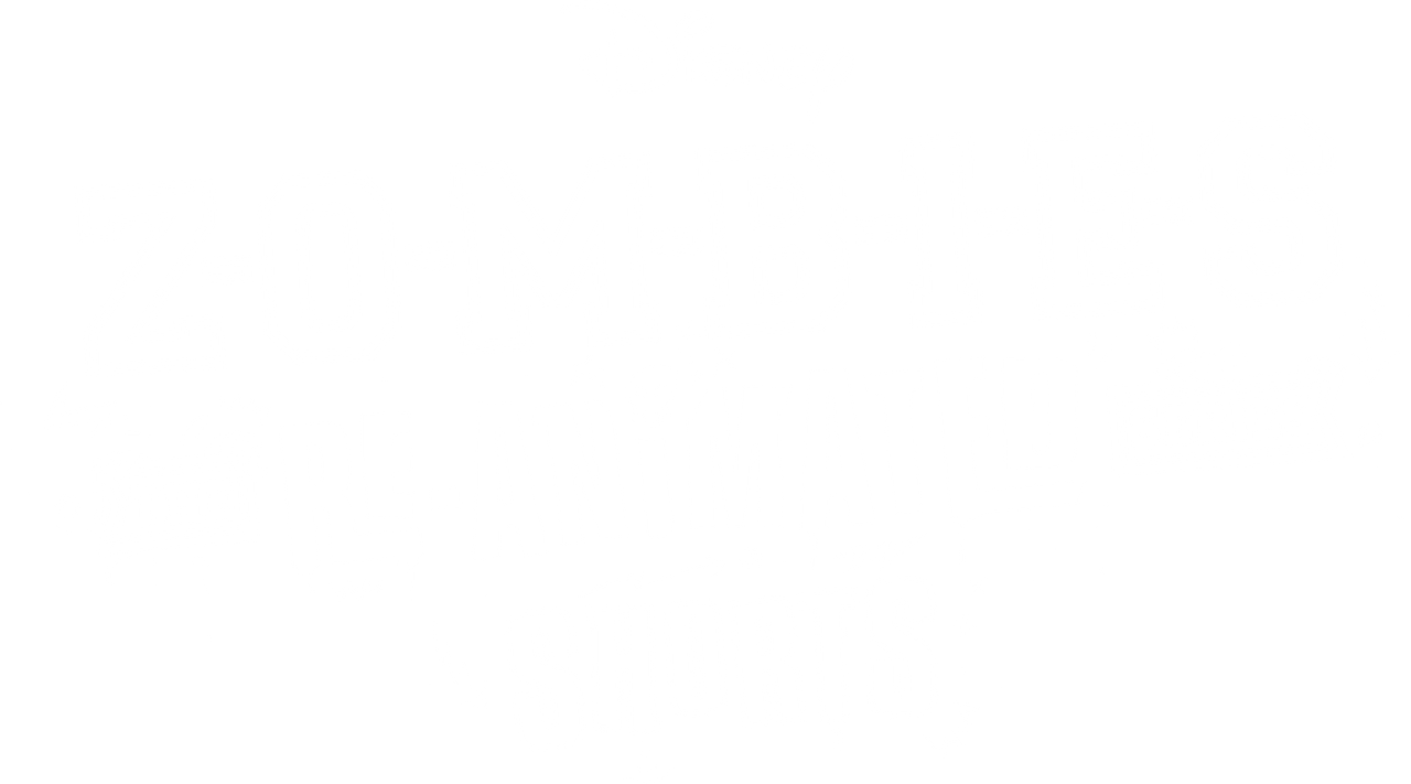 Zombies: The Re-Animated Series