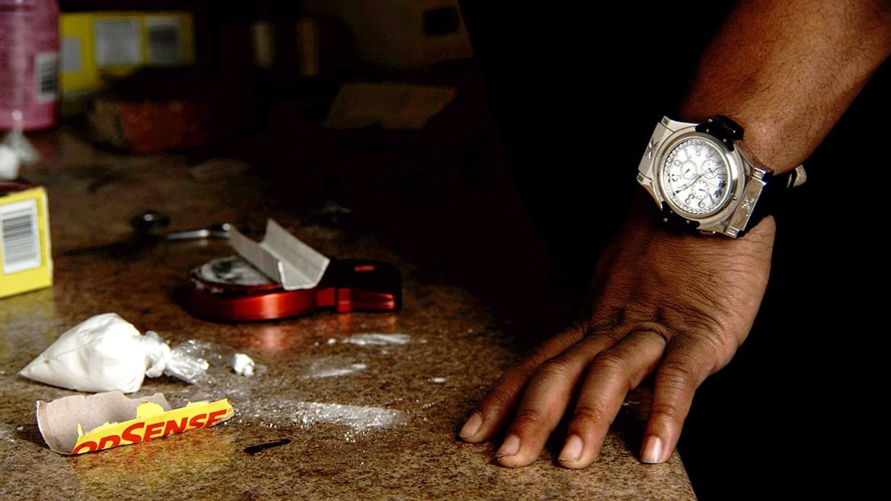 How to Make Money Selling Drugs (2012)