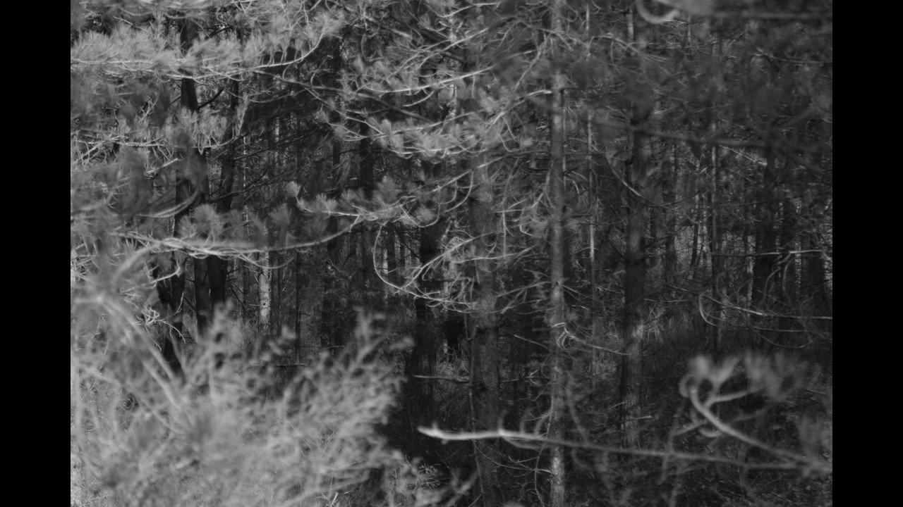 background images