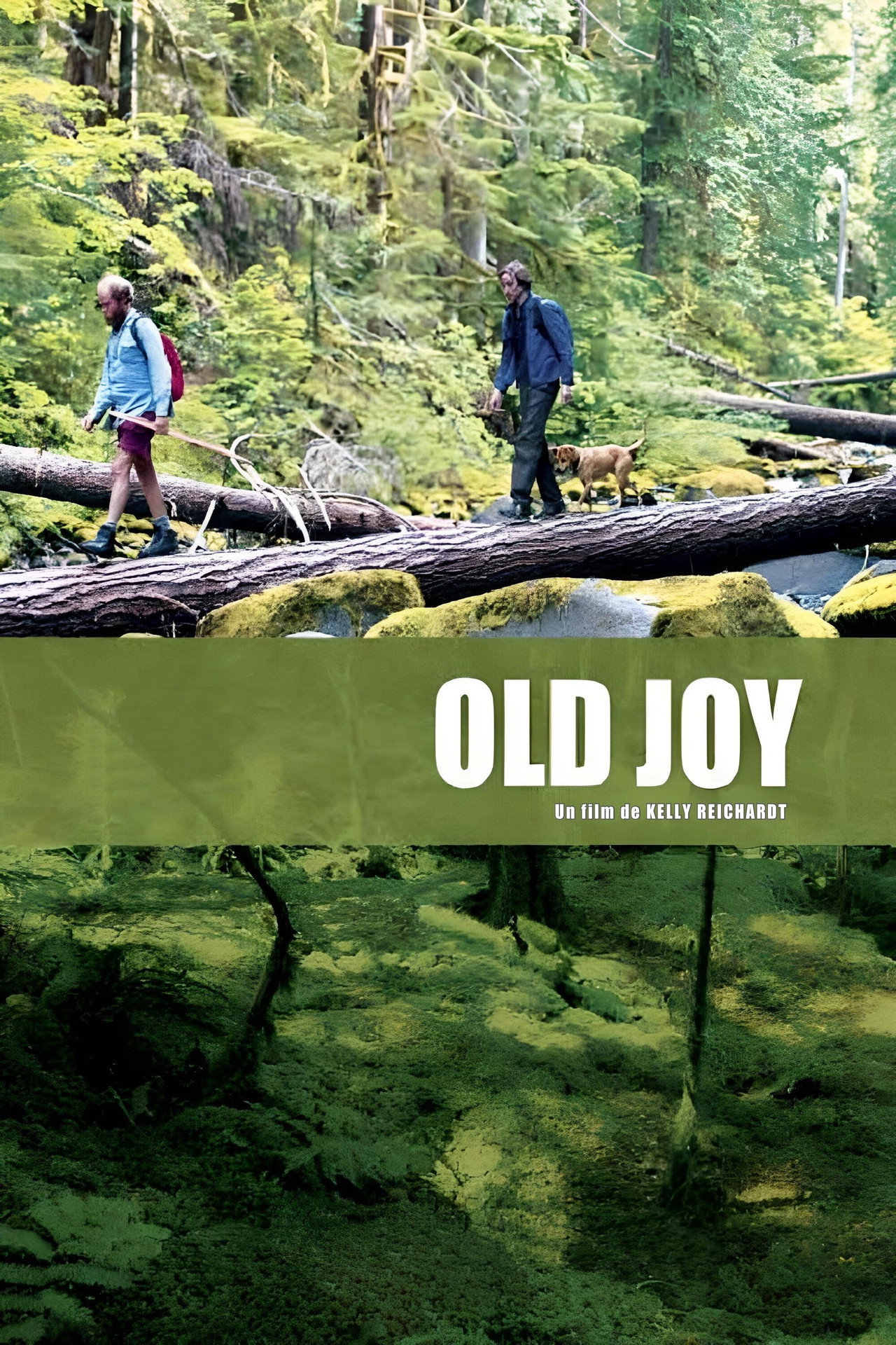 Old Joy poster