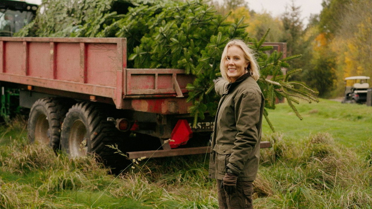 Ny Jul på det Gamle Gods