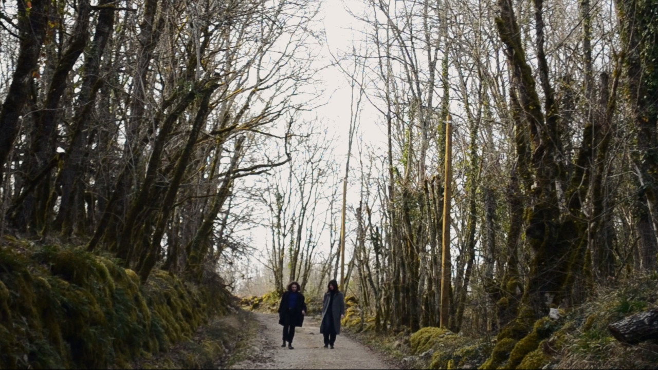 Immagine di copertina del trailer di Not Serious