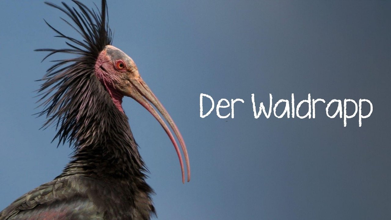 title image