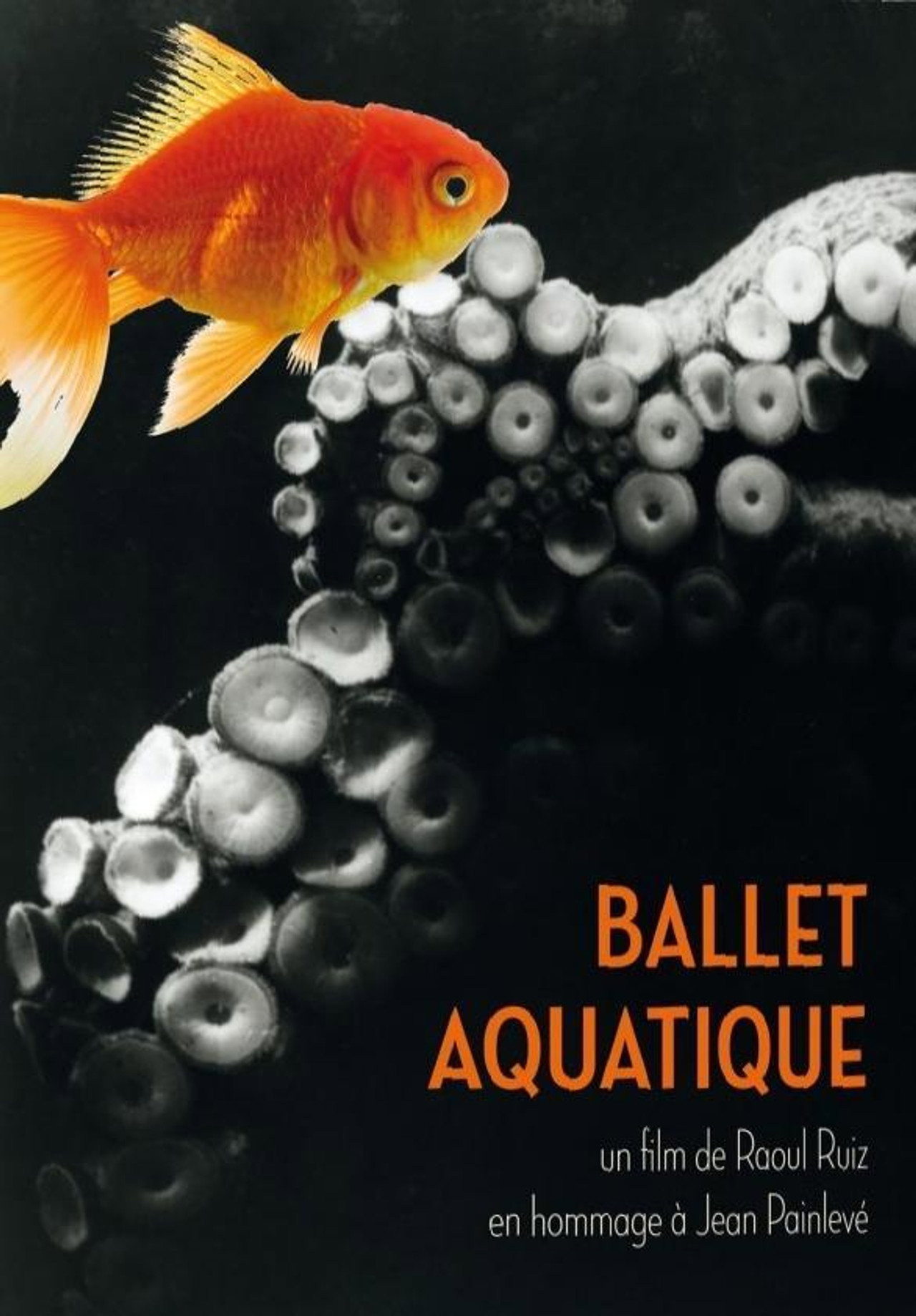 Ballet aquatique Backdrop