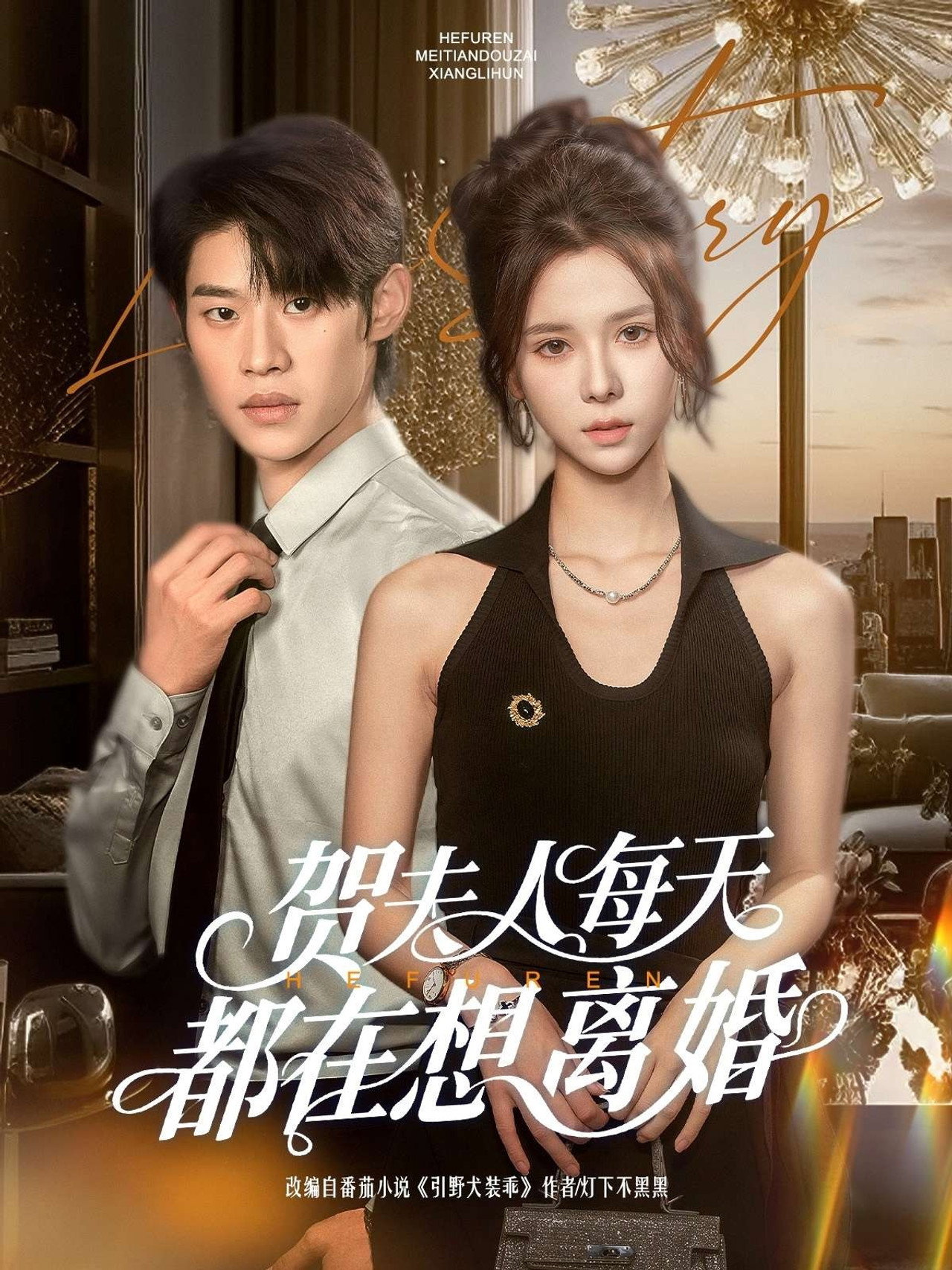 贺夫人每天都在想离婚