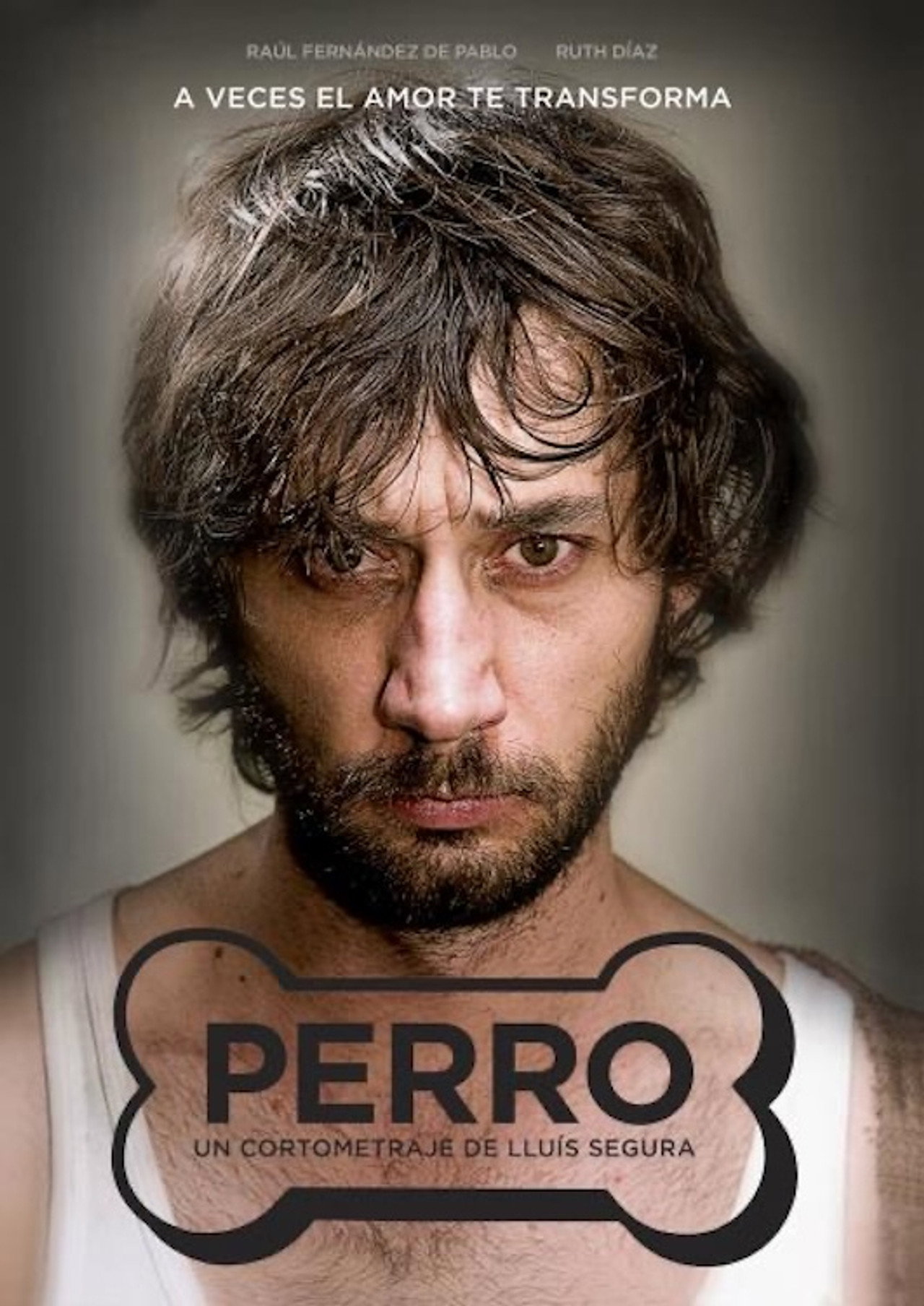 Perro