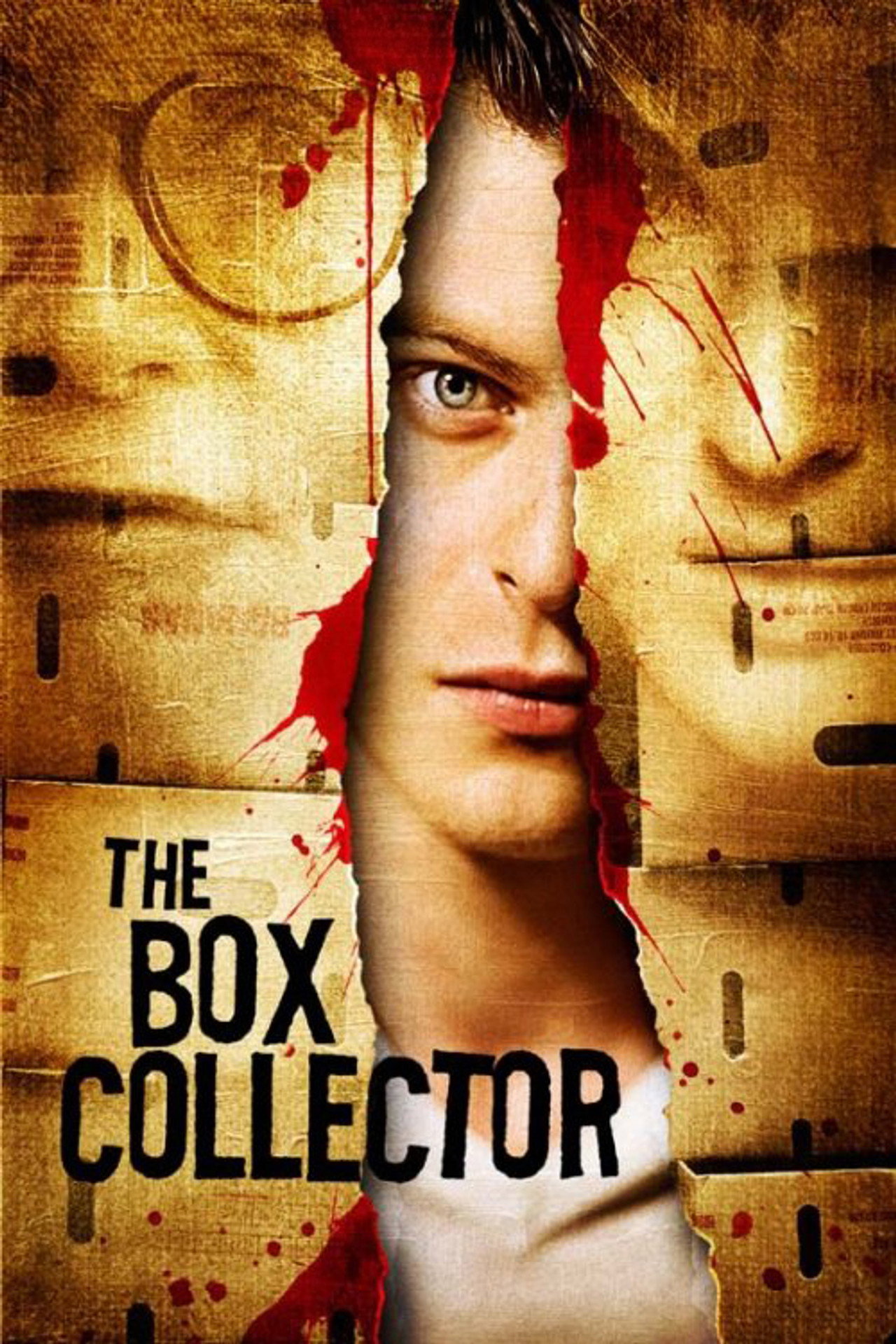 The Box Collector