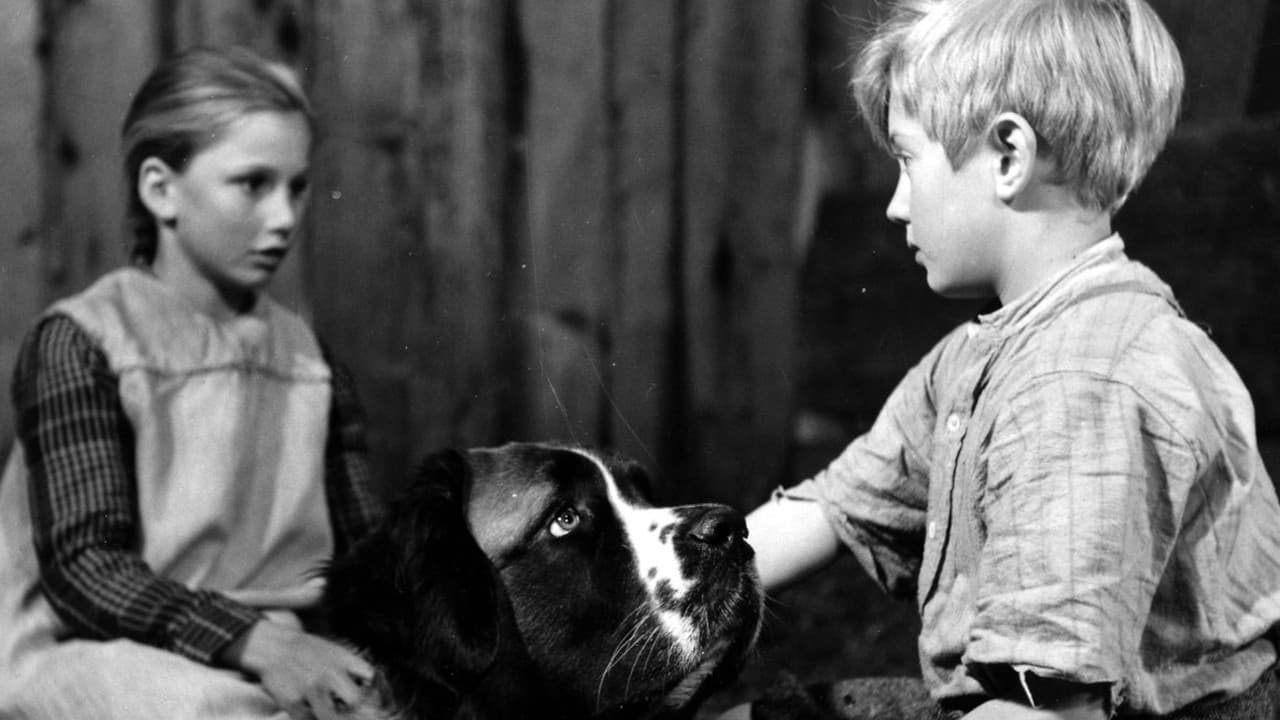 Scen från Pojken och hunden