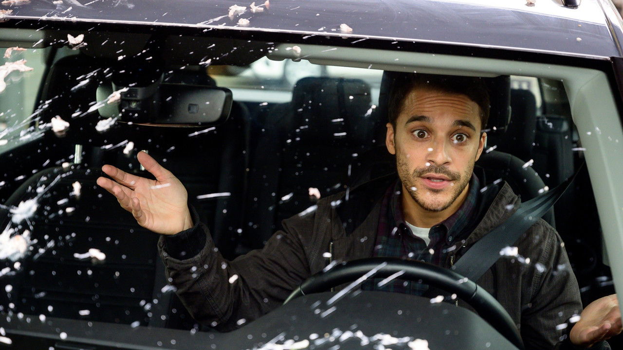 Cast and Crew of Diary of an Uber Driver