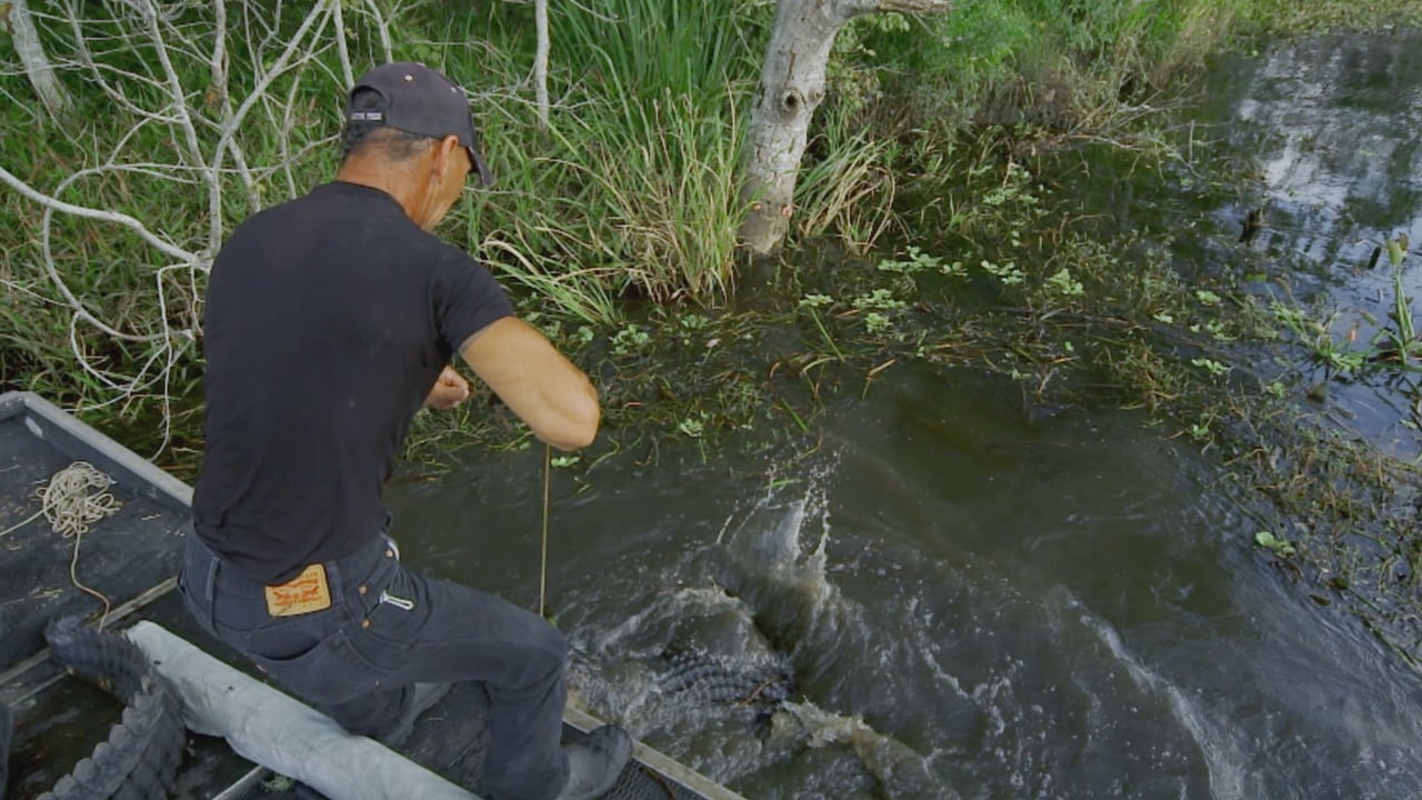 Swamp People - Season 9 Episode 20 : United We Stand