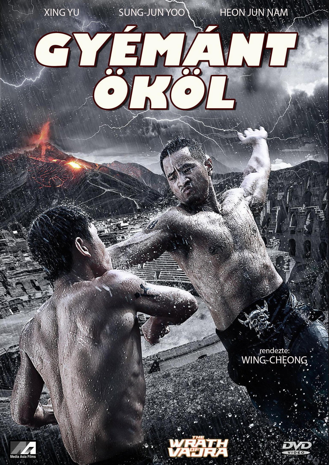 Gyémánt ököl – plakát 5