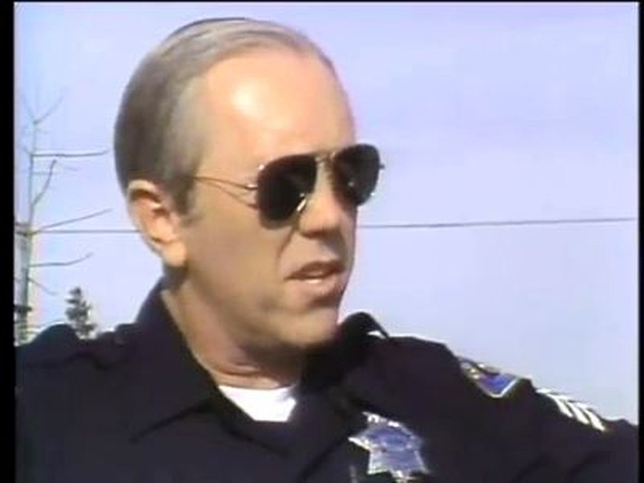 Computers in Law Enforcement