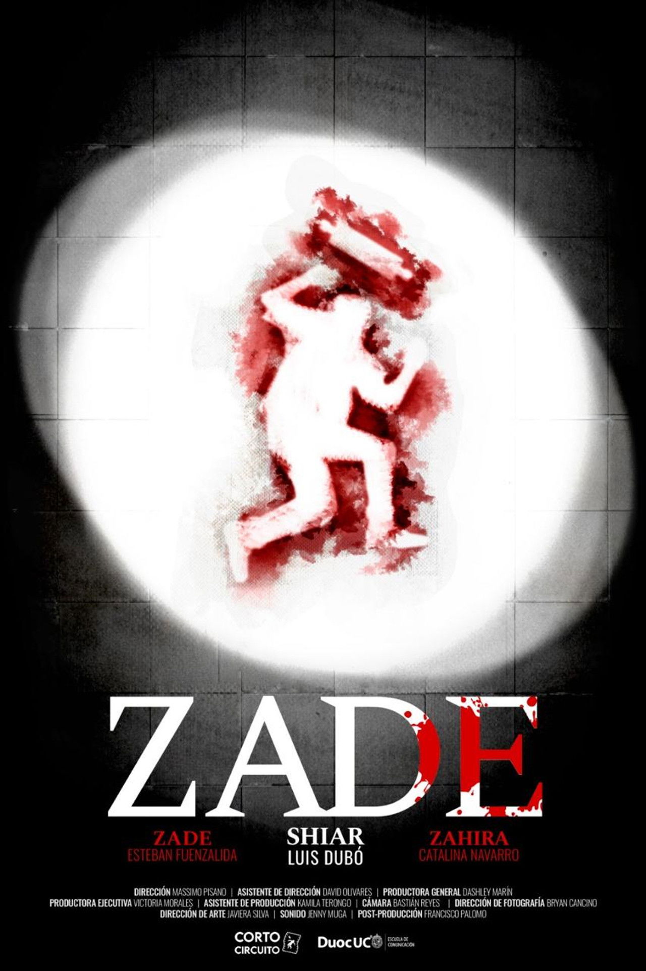 Zade Backdrop