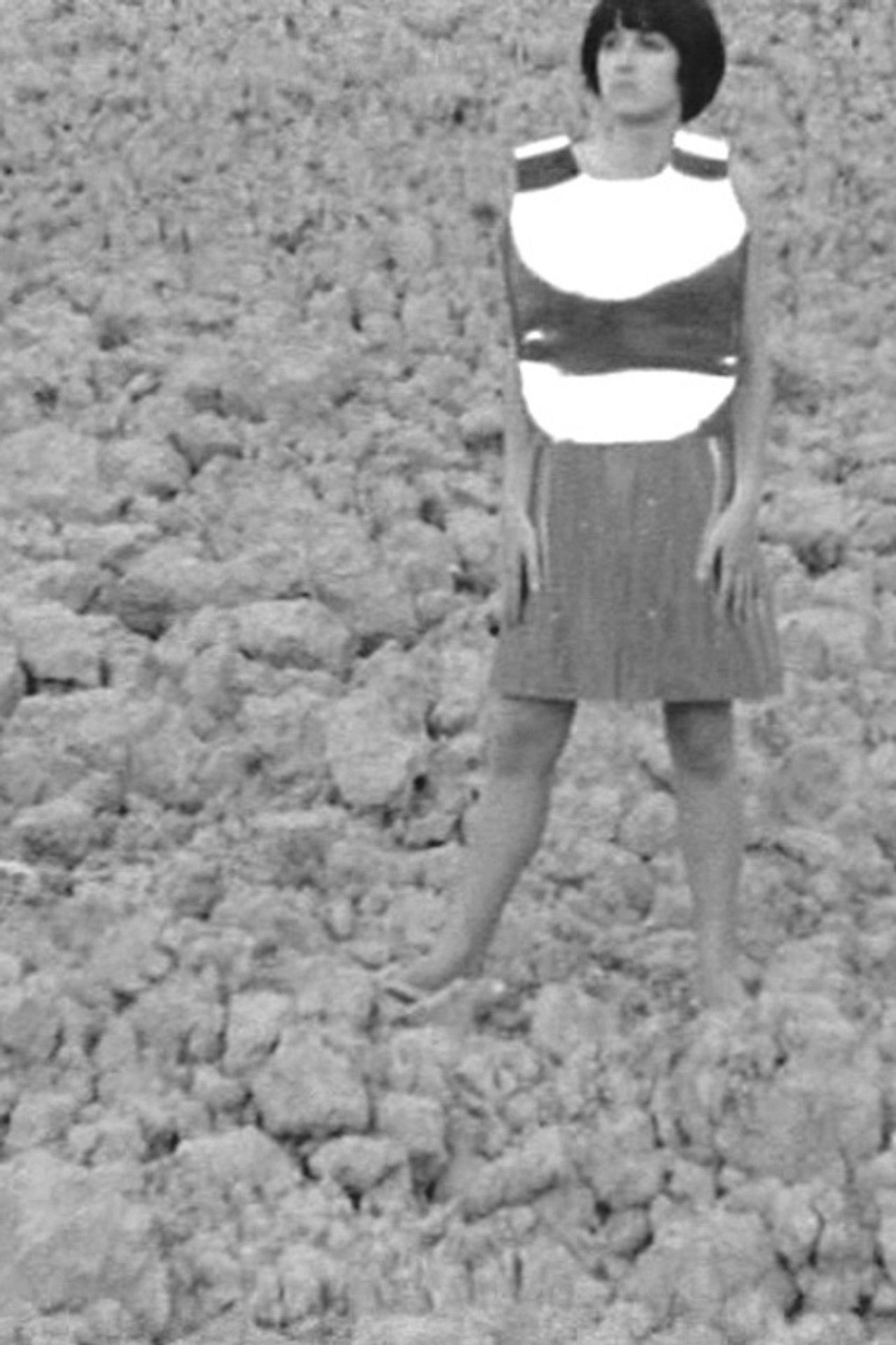 Terra animata Backdrop