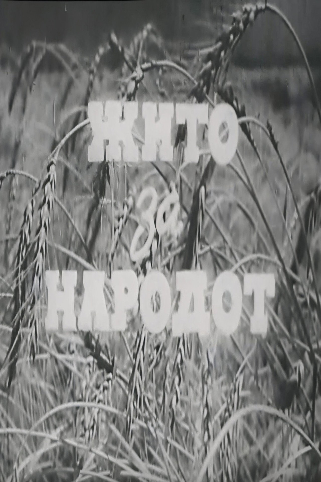 Жито за народот filmaffisch