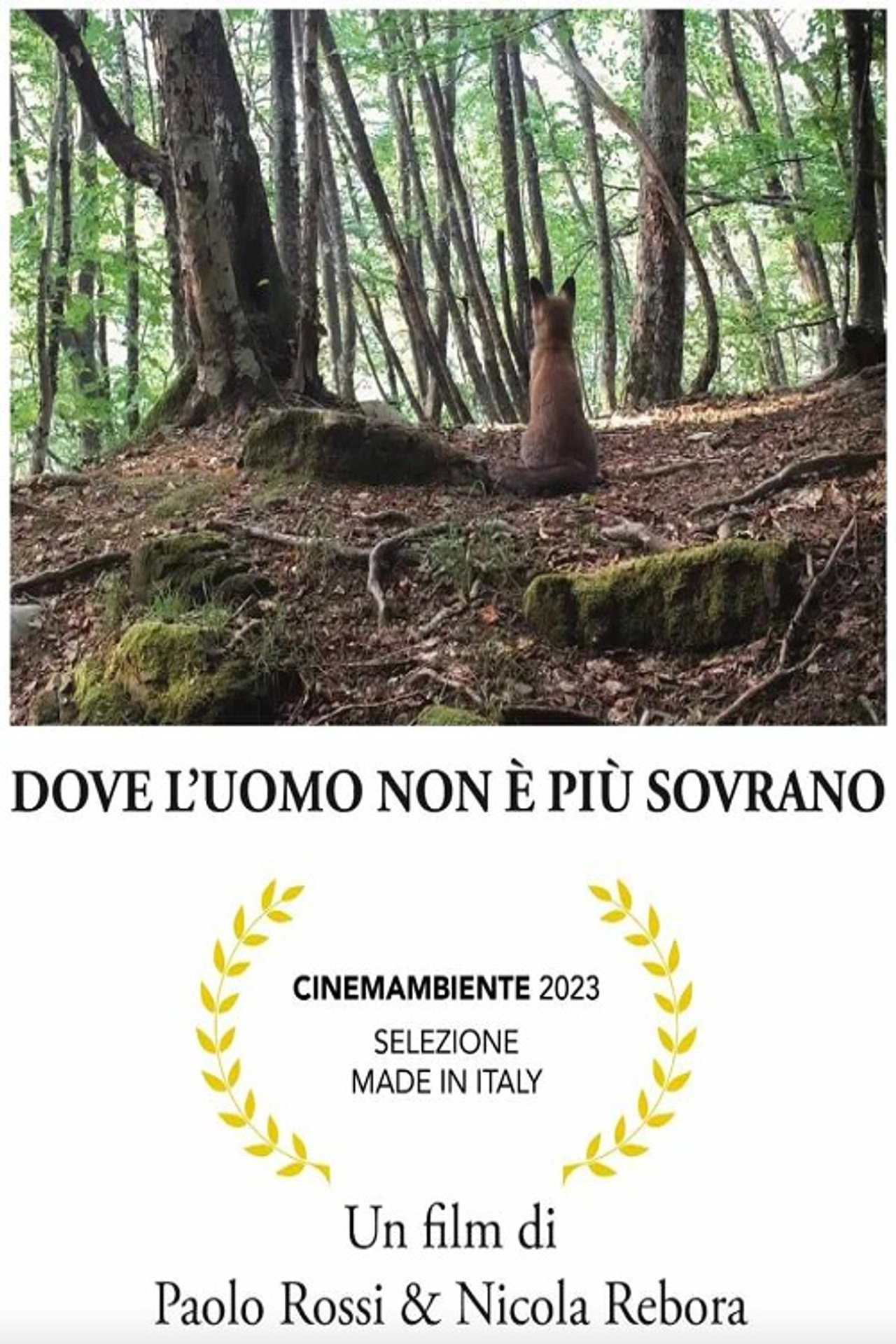 Dove l'uomo non è più sovrano