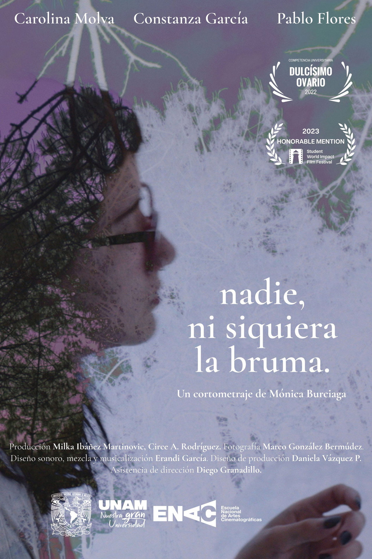 Nadie, ni siquiera la bruma filmaffisch