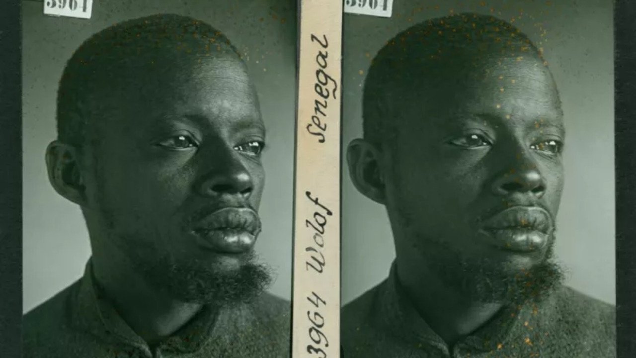 Ils étaient tirailleurs, voix oubliées de la Grande Guerre