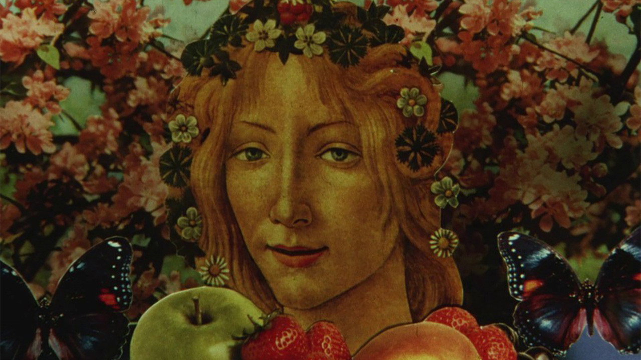 Immagine di copertina del trailer di The Mystical Rose