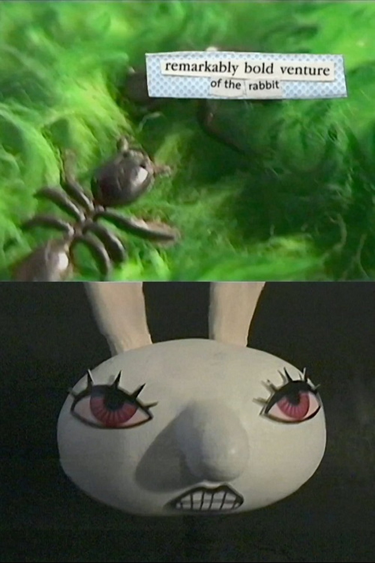 Remarkably Bold Venture of the Rabbit filmaffisch