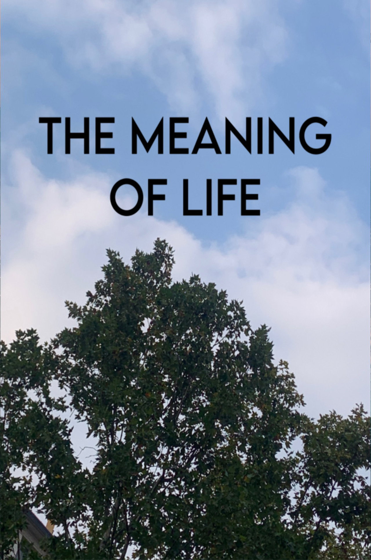 The Meaning Of Life Backdrop