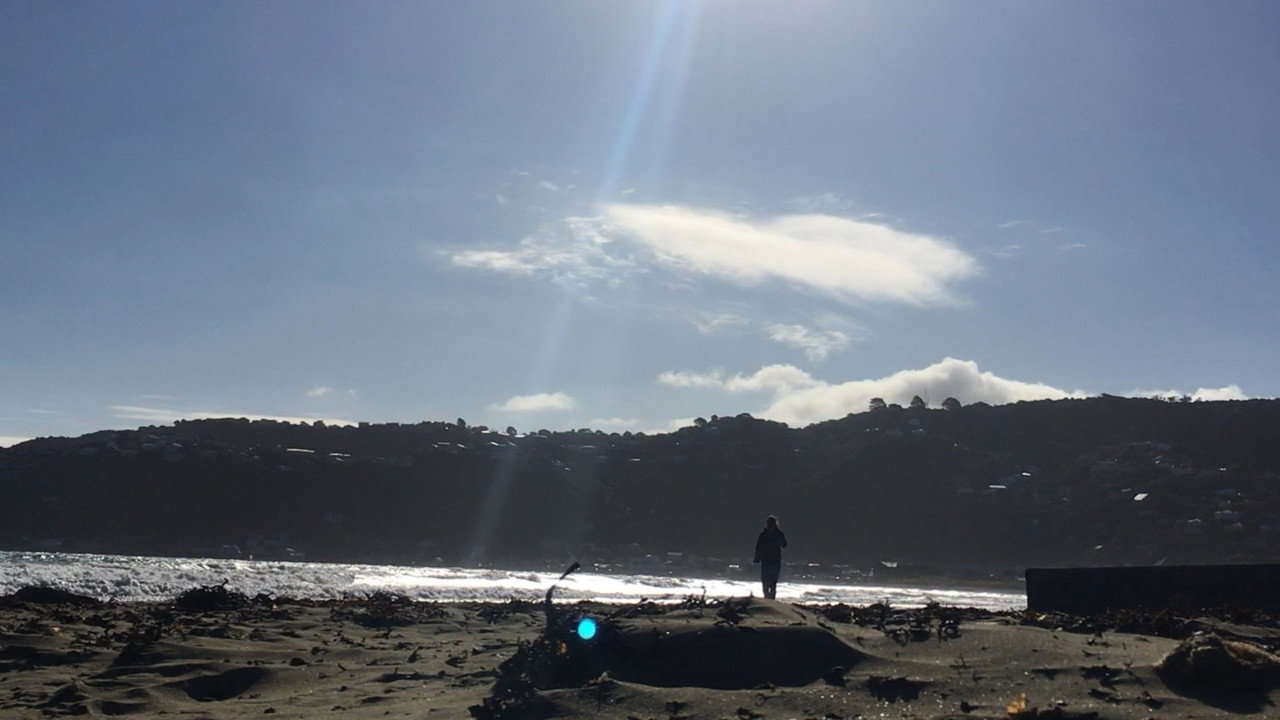 Sunburnt Snapshots