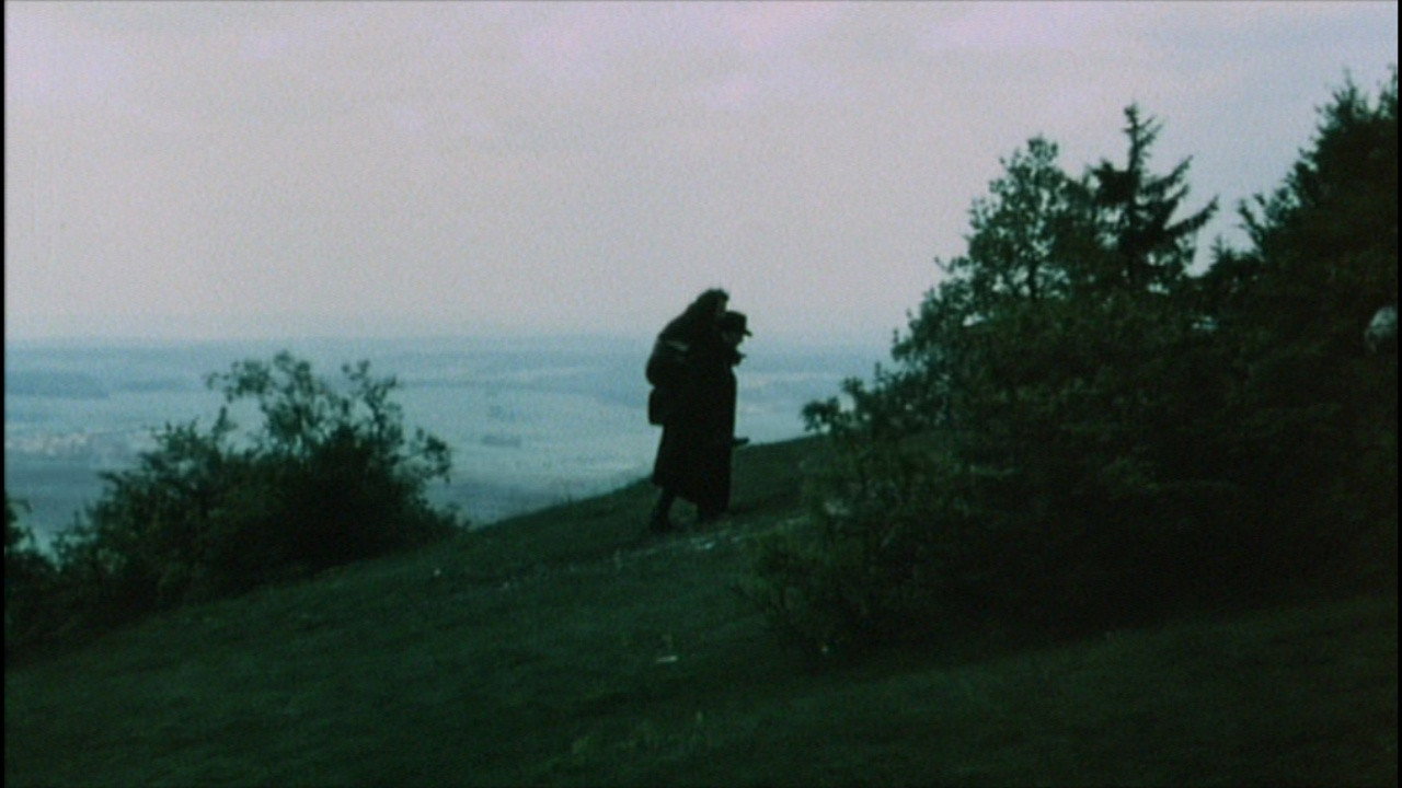 scenes 10