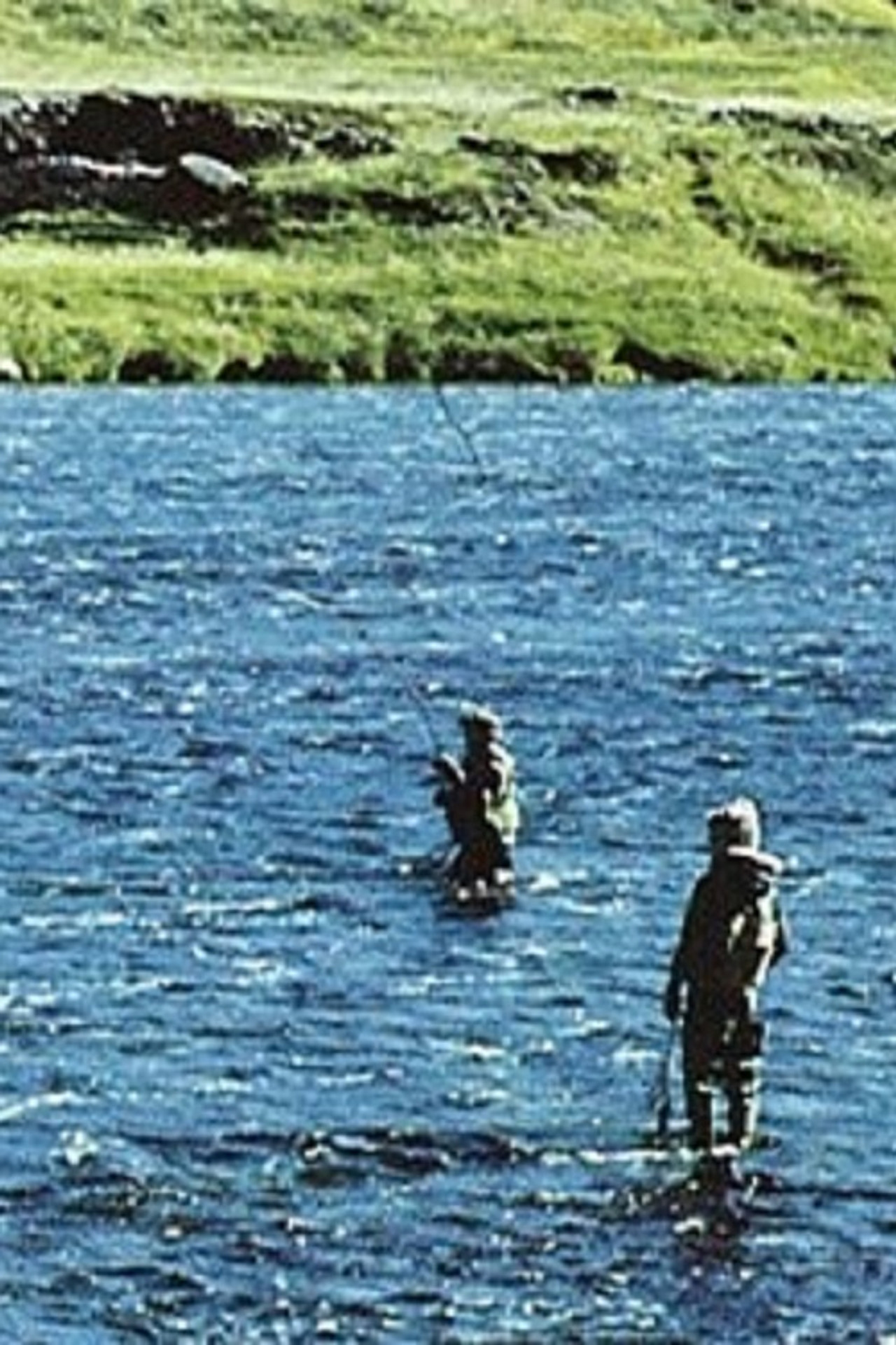 Er nokkuð að hafa? filmaffisch