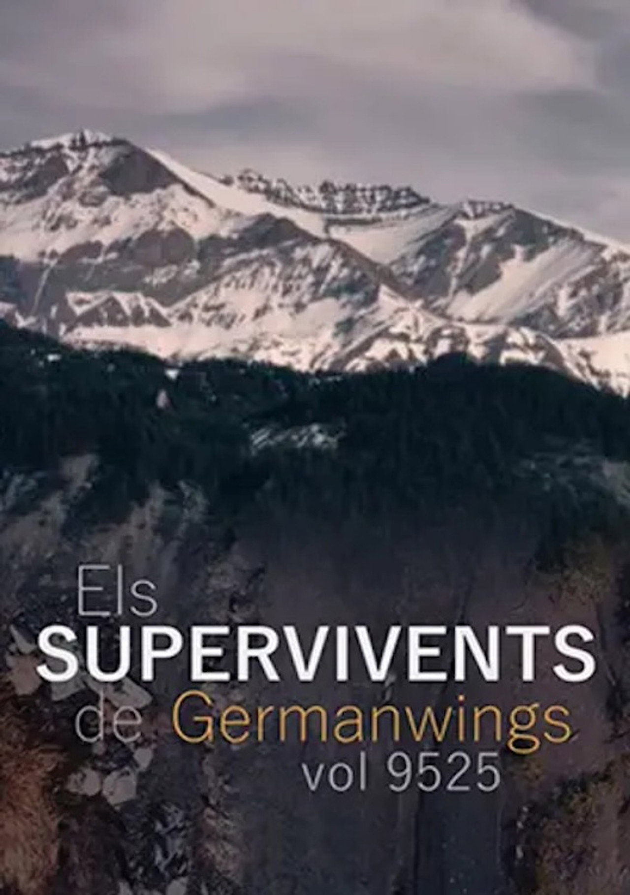 Els supervivents del vol 9525 de Germanwings filmaffisch