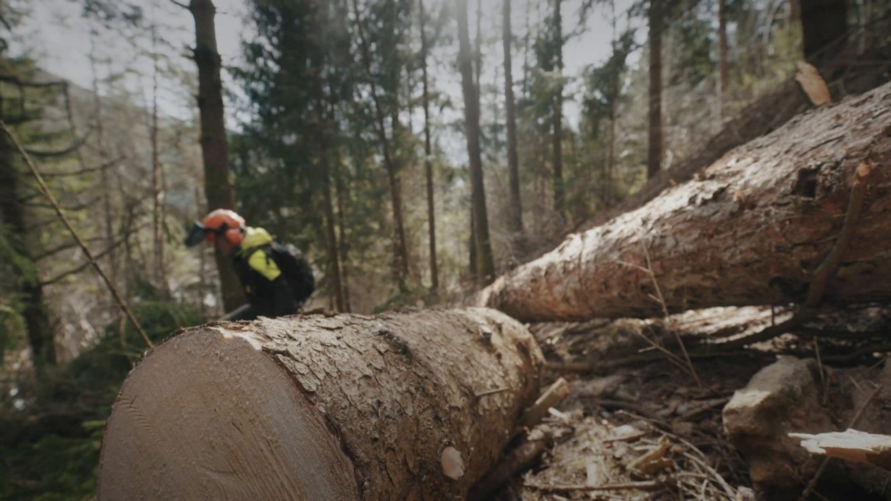 Undercut: l'oro di legno - Season 4 Episode 3 : Episode 3