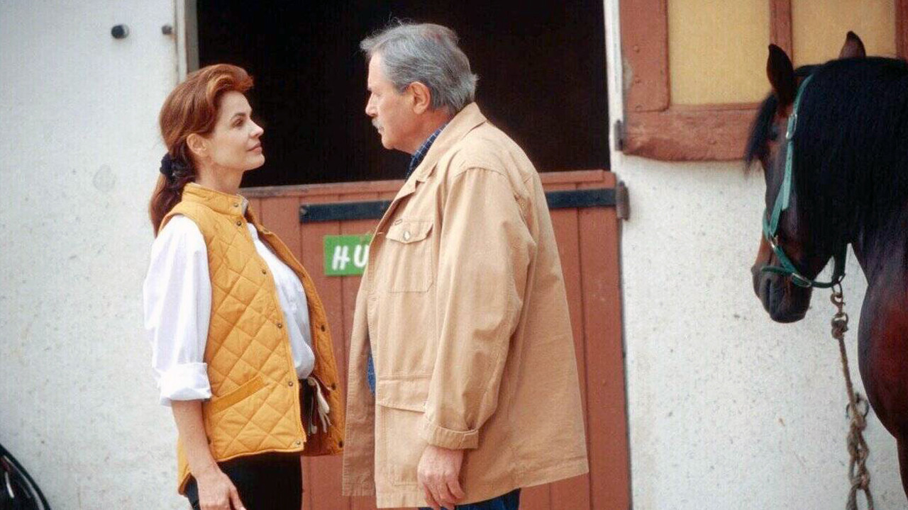 Louis la Brocante — Louis et La Belle Soyeuse