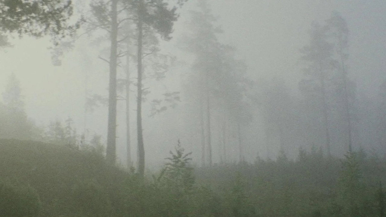 Artwork for In the Forest