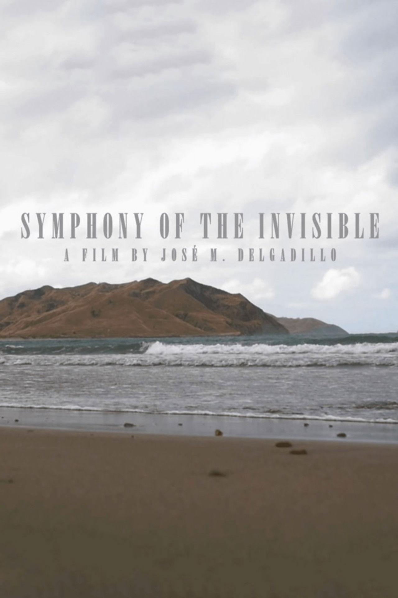 Symphony Of The Invisible Backdrop