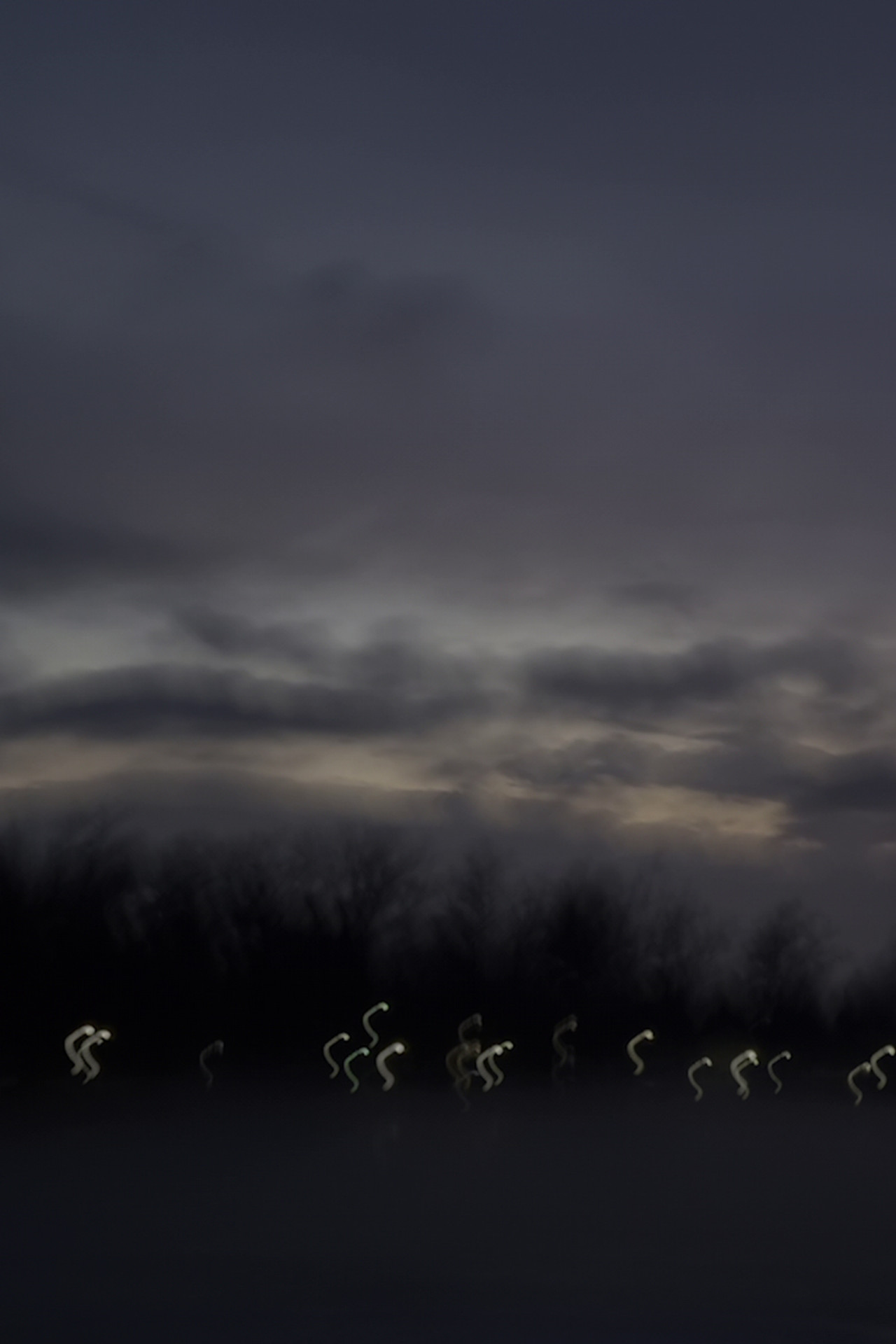 i heard the geese cry