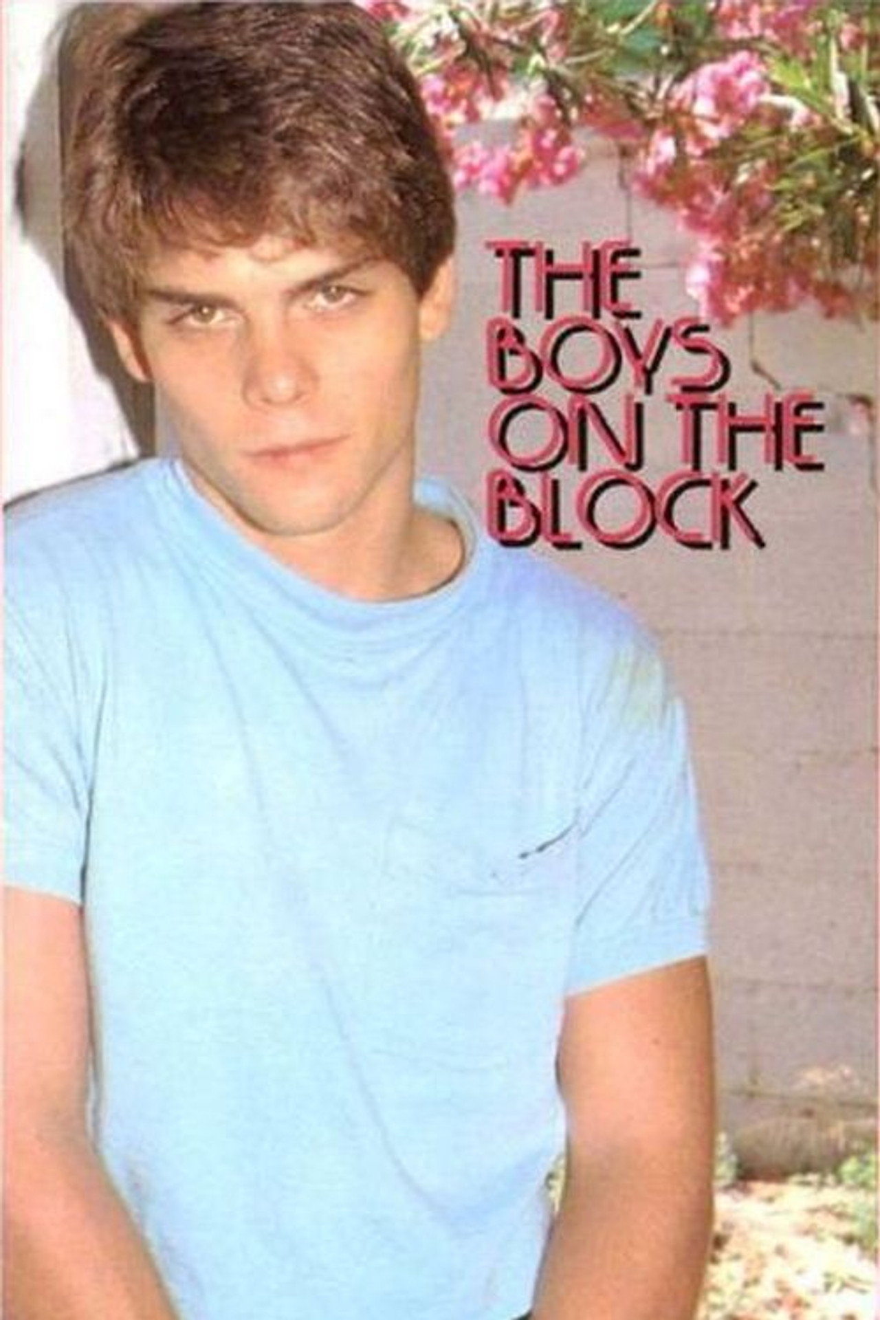 The Boys on the Block filmaffisch