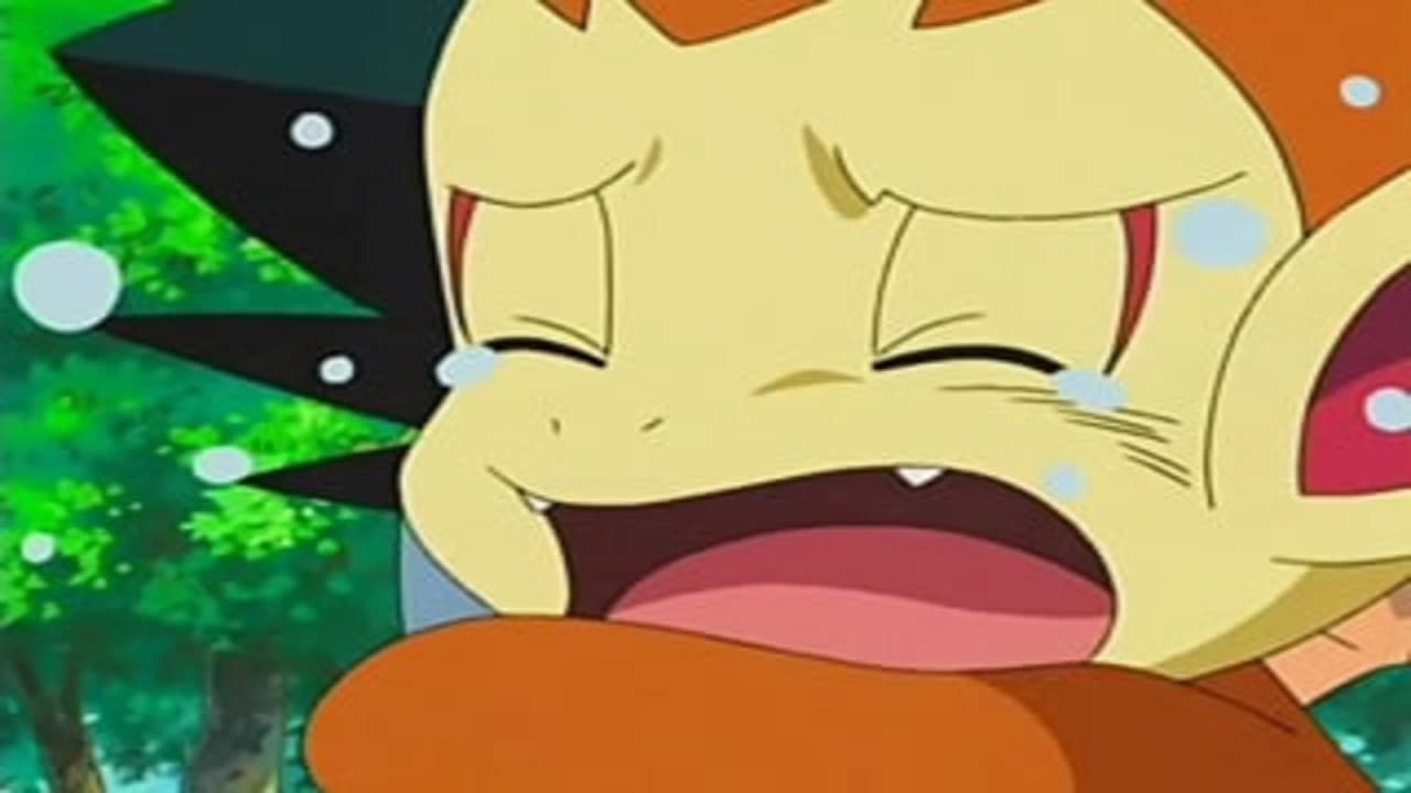 Pokémon - Season 11 Episode 1 : Tears for Fears!