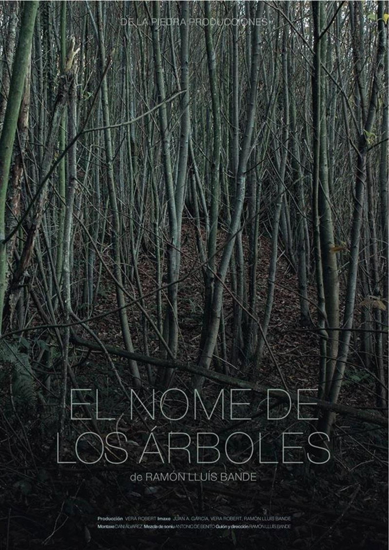 El nome de los árboles filmaffisch