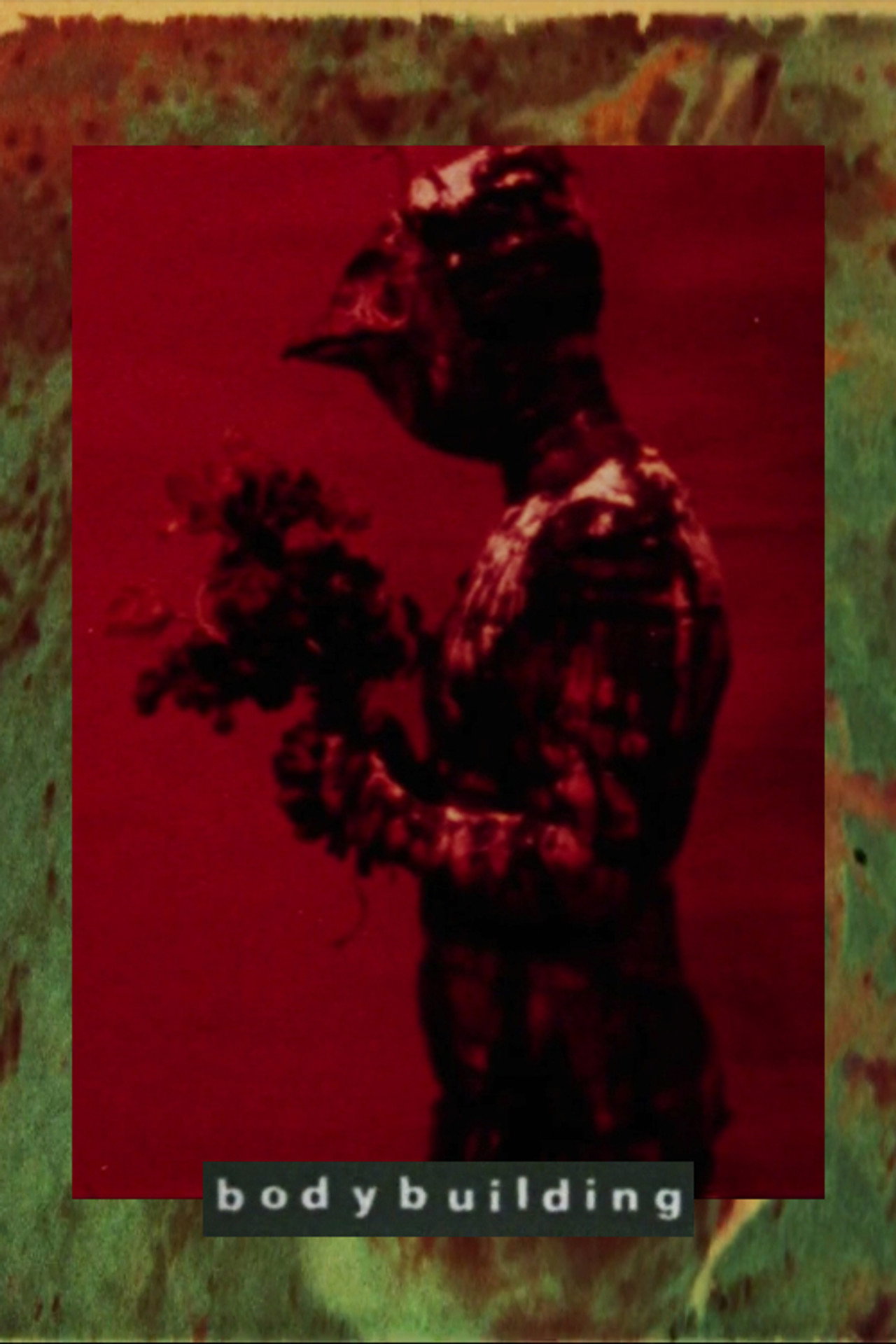 Bodybuilding Backdrop