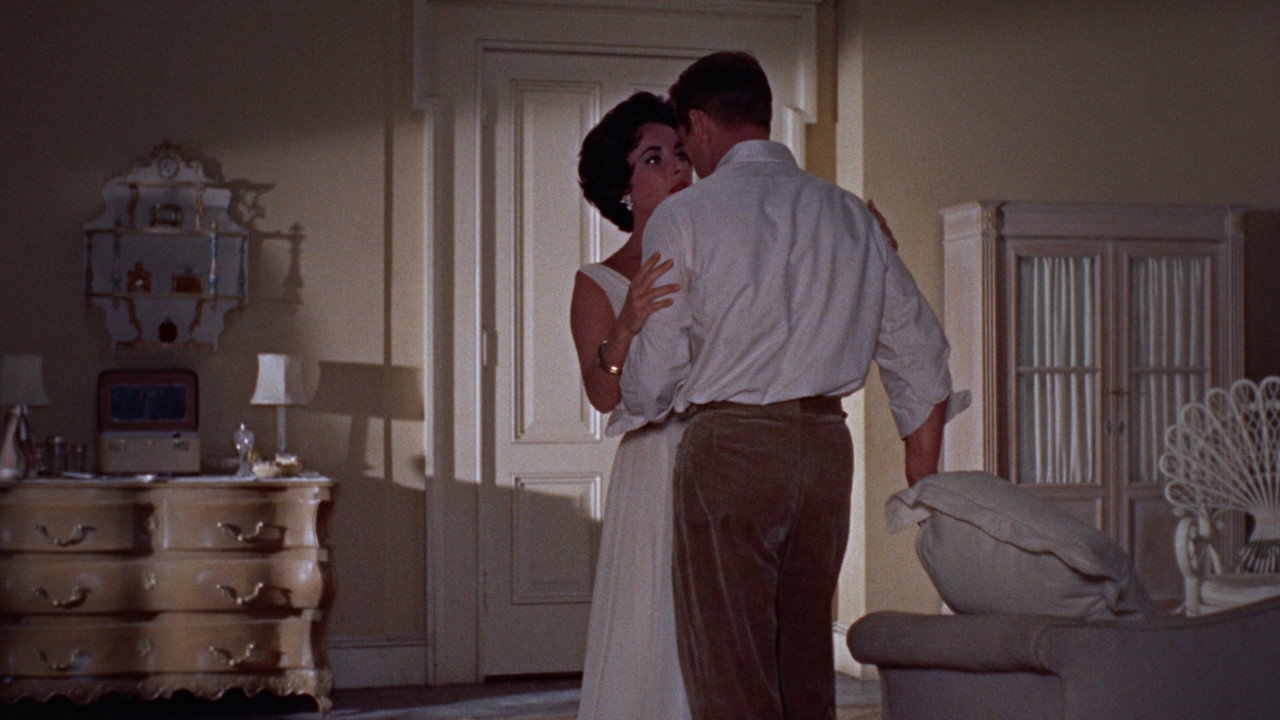 Cat on a Hot Tin Roof background 32
