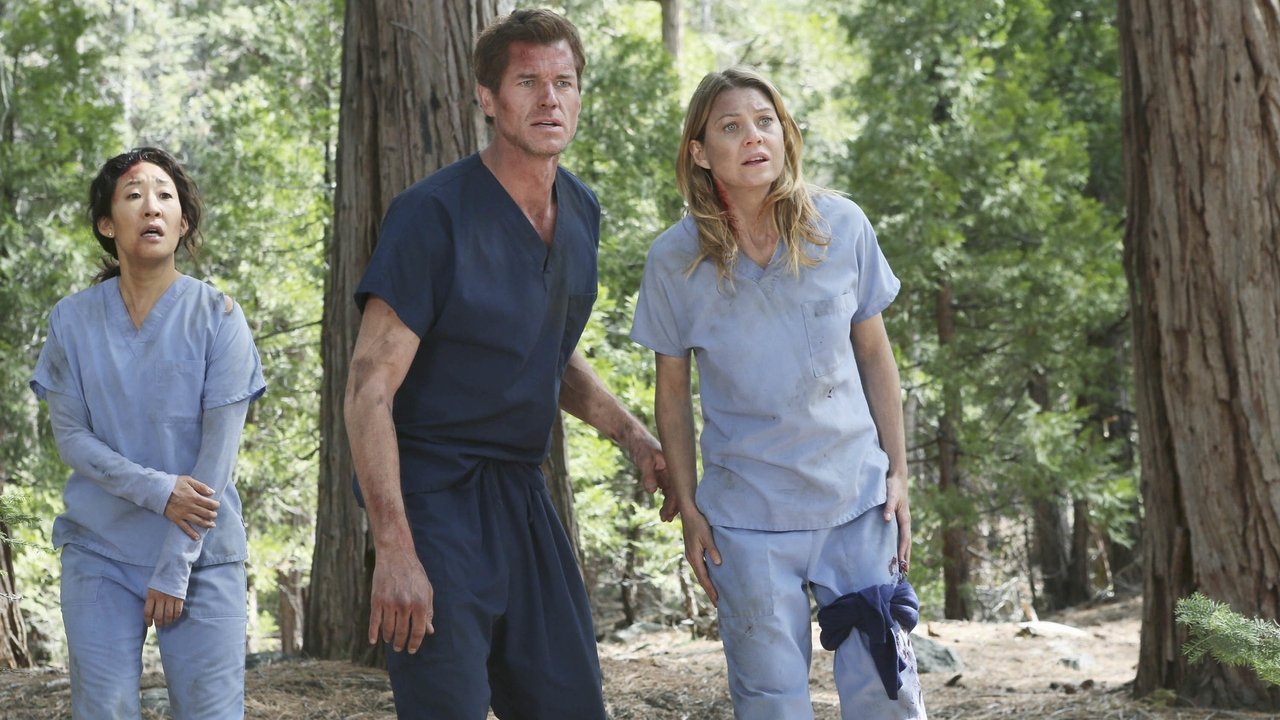 Grey's Anatomy - Season 8 Episode 24 : Flight