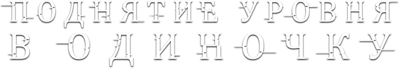 Solo Leveling: Поднятие уровня в одиночку